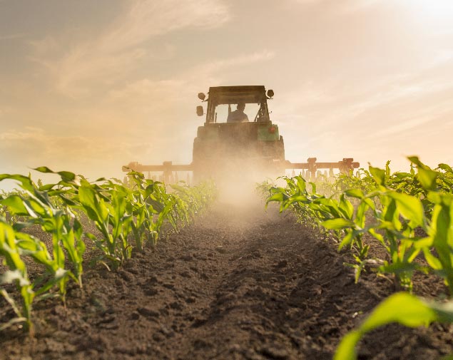 Landwirtschaft im Landkreis Görlitz